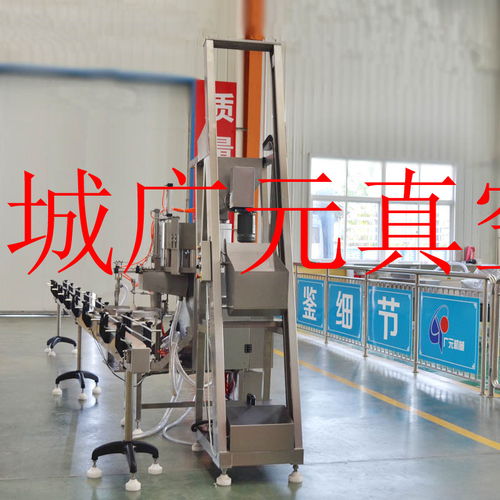榨菜全自动真空整平机 驱动植物油行业包装效率新飞跃