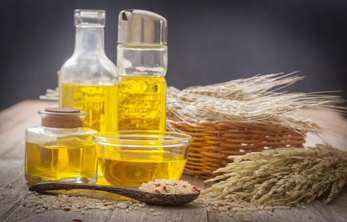 如何辩证看待食用油 从科学出发，找到真正健康的用油方式